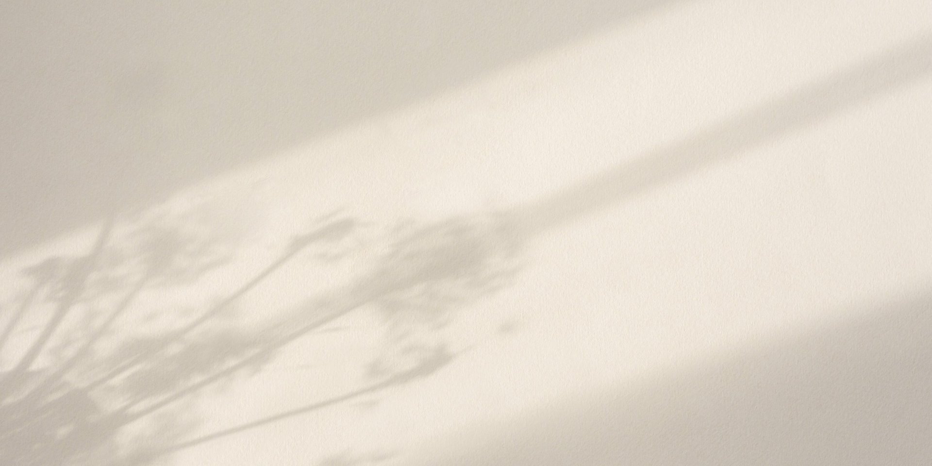 Helle Wand mit Schattenspielen von Pflanzen.