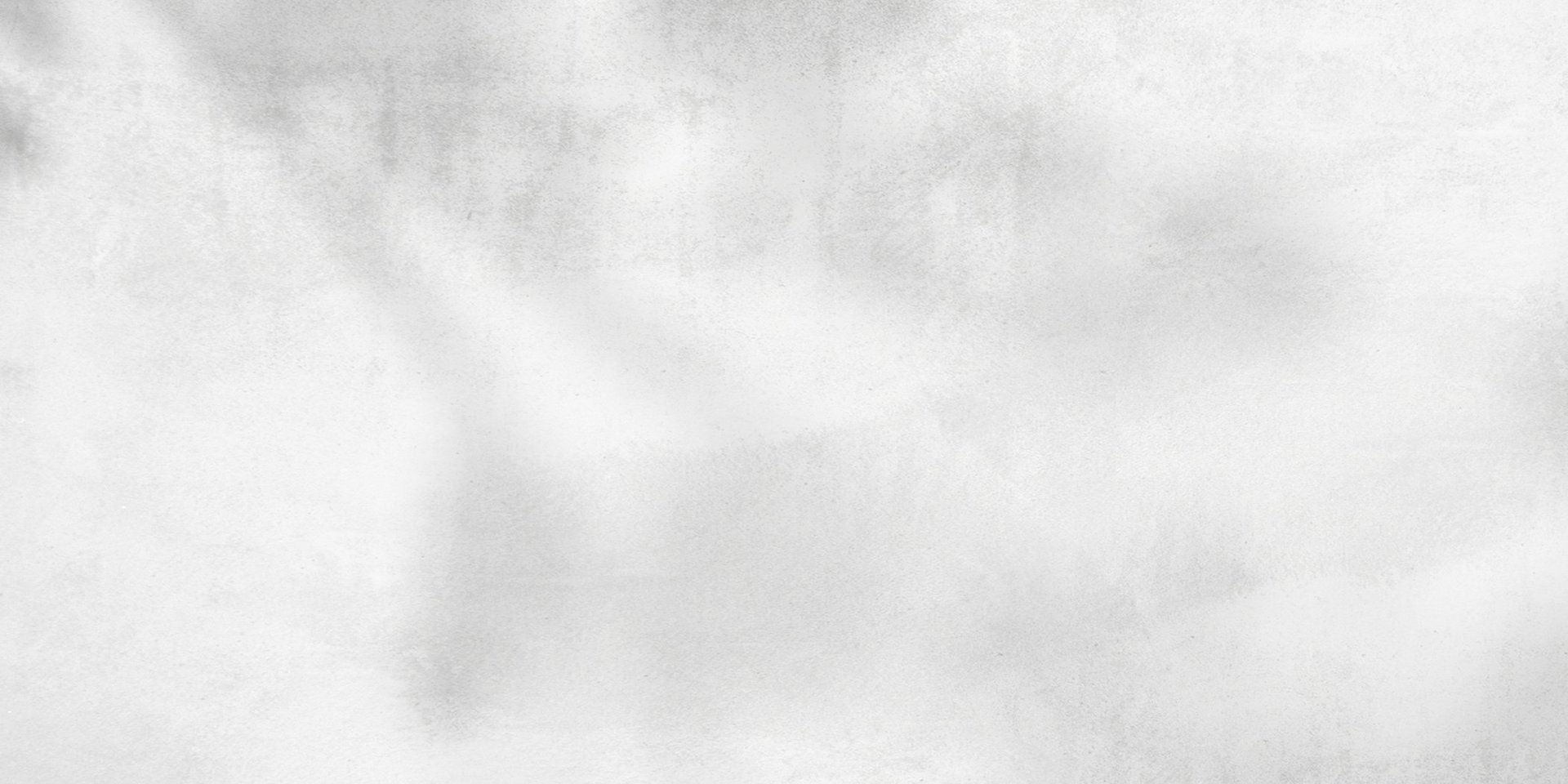 Helle Wand mit Schattenspielen in Pflanzenform.