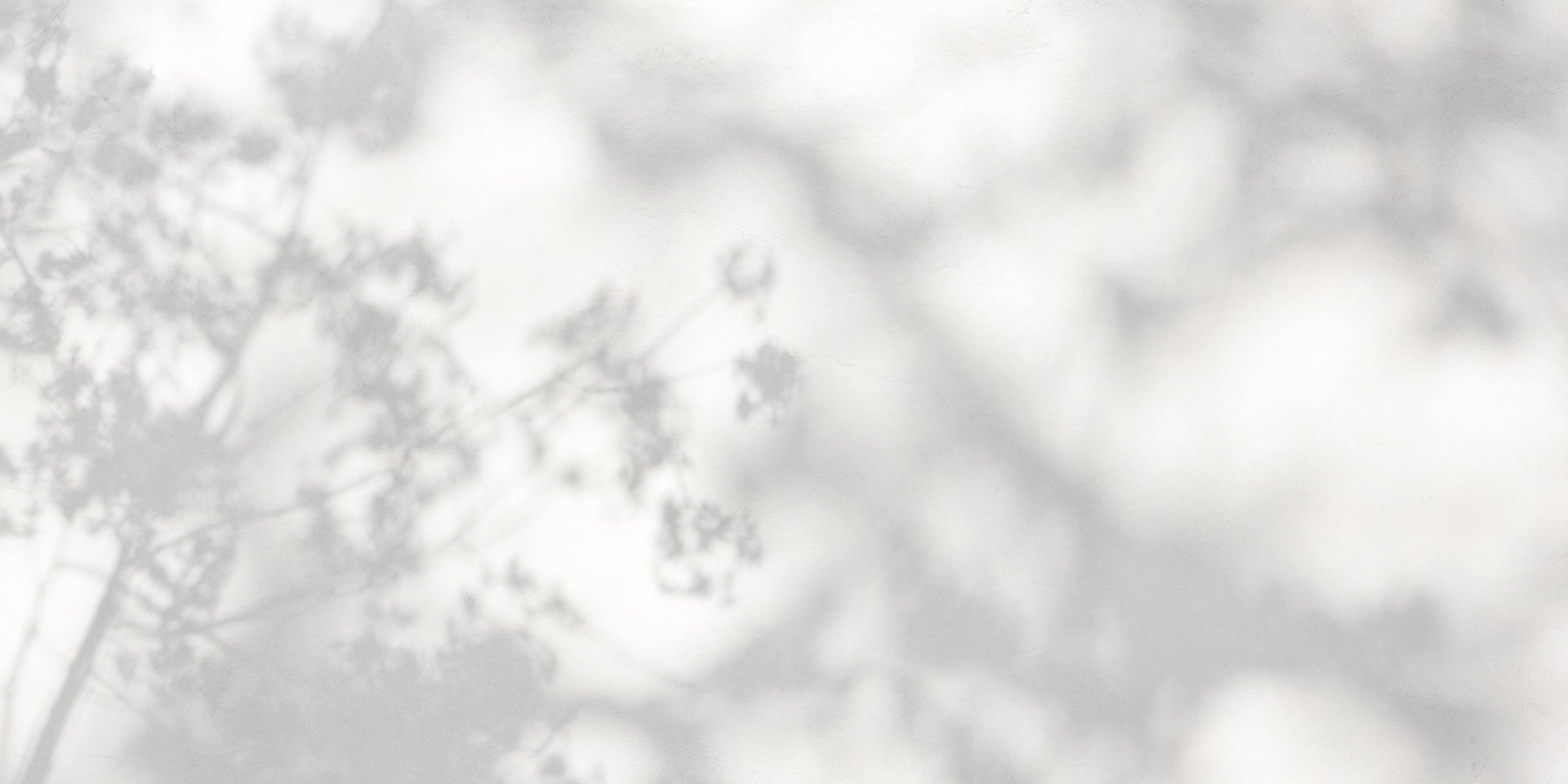 Helle Wand mit Schattenspielen in Pflanzenform.