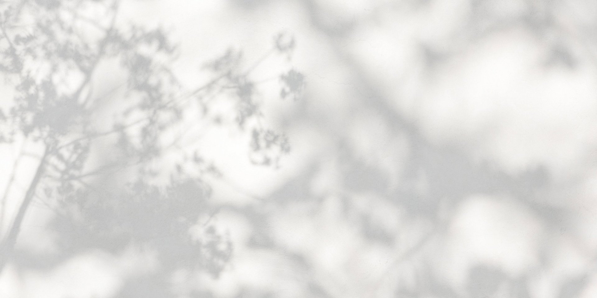 Helle Wand mit Schattenspielen in Pflanzenform.